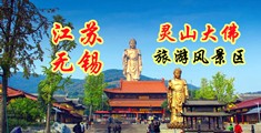 淫汤网视频江苏无锡灵山大佛旅游风景区